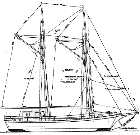 Cargo 50 sail plan