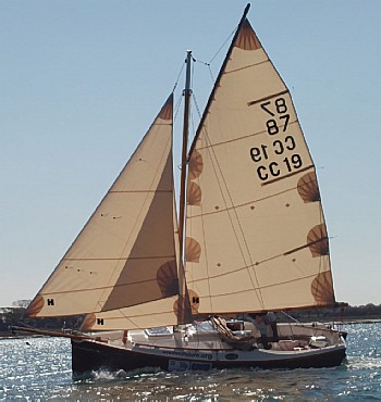 Mike Brooke sailing "Theo's Future" in the Solent in