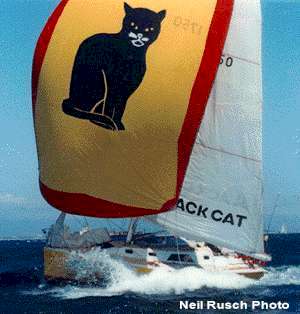 "Black Cat" Didi 38, radius chine plywood boat plans for amateur boat builders