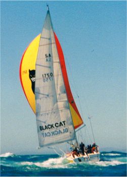 Didi 38 radius chine plywood boat plans
