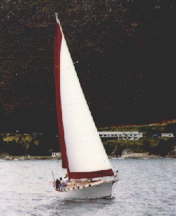 Shearwater 39