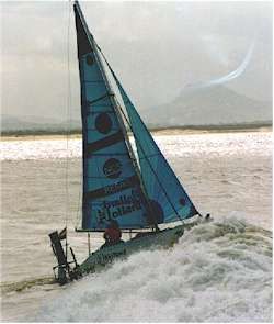 Ant sailing off Australia